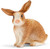 Schleich Toy Farm Life Figure - Rabbit Schleich Toy Farm Life Figure - Rabbit