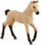 Schleich Hanoverian Foal Red Dun - Manufacturer Picture