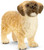 Schleich Toy Figure - Dog - Shih Tzu Malteser Mix