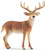 Schleich Toy Wildlife Figure - Deer - White Tailed Buck