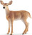 Schleich Toy Wildlife Figure - Deer - White-Tailed Doe
