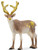 Schleich Reindeer Holiday Limited-Edition - Product View