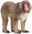 Mojo Toy WildLife Figure - Monkey - Japanese Macaque