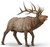 Collecta Wapiti Elk #80021 Manufacturer Picture
