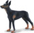CollectA Doberman Pinscher - Standing Black and Brown - Hunting Pose