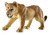Bullyland Lioness #63681 Manufacturer Picture side View