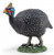 Papo Guinea Fowl #51191 speckled plumage - Manufacturer Image side view