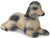 CollectA Afghan Hound Puppy - Cute puppy lying on its stomach with its head up