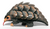 EUGY Pangolin 3D Puzzle #110 - Manufacturer main image