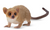 Toymany - Madame Berthe's Mouse Lemur #00413 manufacturer hero image