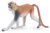 Toymany - Patas Monkey #00443 - Manufacturer hero image