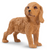 Toymany - Golden Cocker Spaniel Puppy mini #00156 - hero image