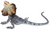 Toymany Frilled Lizard #311 - hero image