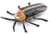 Toymany Firefly #426 - Main Picture