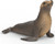 Schleich Sea Lion #14933 - Main Picture