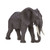 Mojo African Elephant #387189 - Main Picture