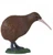 Mojo New Zealand Kiwi  #381149 - Main Picture