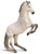 CollectA Lipizzaner Stallion Dapple grey #80051 - Main Picture