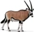 CollectA Gemsbok #80056 - Main Picture
