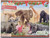 CollectA Wild Life Advent Calendar #84303 - Main Picture