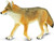Safari Ltd. Coyote #113089 - Main Picture