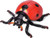 Toymany Seven-Spotted Ladybug #00503 - Main Picture