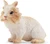 Toymany Lionhead Rabbit #00378 - Left Front View
