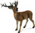 CollectA Red Deer Stag