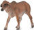 CollectA Red Brahman Calf