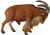 CollectA Barbary Sheep Figure