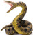 CollectA Green Anaconda - Manufacturer Picture