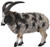 CollectA Jacob Sheep - Manufacturer Picture