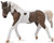 CollectA American Bashkir Curly Mare Figure