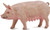 CollectA Pig - Sow Figure