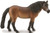 CollectA Exmoor Pony Stallion Figure