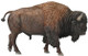 Bison - American (CollectA)