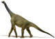 EoFauna Atlasaurus - Manufacturer Picture