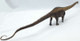 Diplodocus (EoFauna)