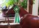 Superior Show Ribbon - 1:9 Traditional Breyer - Green Series