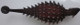 Mojo Ankylosaurus - Top View