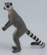 Lemur - Ringtail (Mojo)