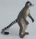 Lemur - Ringtail (Mojo)