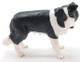 Mojo Border Collie Dog - Left Side View