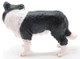 Mojo Border Collie Dog - Right Side View