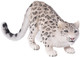 Mojo Snow Leopard - Front View