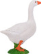 Goose - White (Mojo)