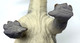 Mojo Brontosaurus - Feet Close Up View