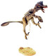 Saurornitholestes langstoni Fan's Choice(2nd Release) (Beasts of the Mesozoic)