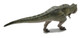 Nanmu Tyrannosaurus rex - The Once and Future King - Rear View