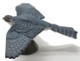 Papo Hawk with Wings Spread Wide - Left Side View